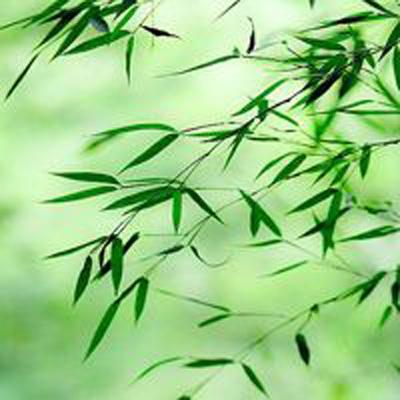 荷鲁斯叛变塔兰之战游戏(暂未上线)v1.0 安卓版